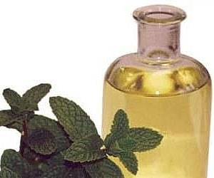 Peppermint Oil for Mice